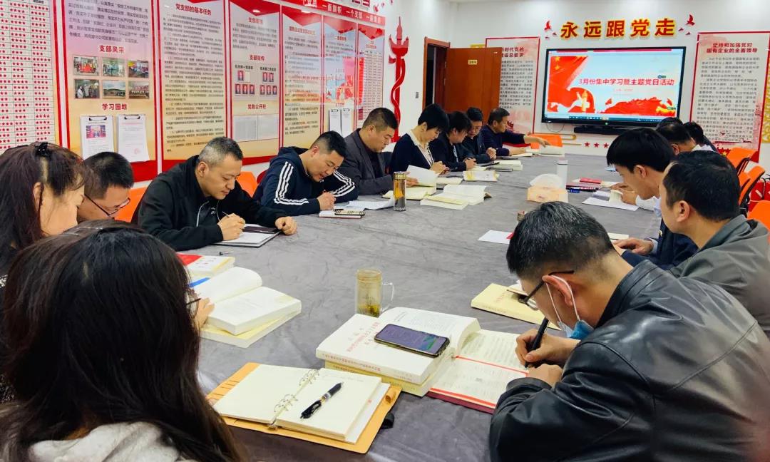 【黨史學習教育】以史鑒今謀發(fā)展 學史增信開新局  ——機關二支部組織開展3月份集中學習暨主題黨日活動